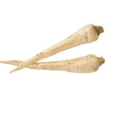 PETREZSELYEMGYÖKÉR